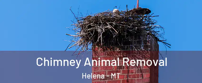 Chimney Animal Removal Helena - MT