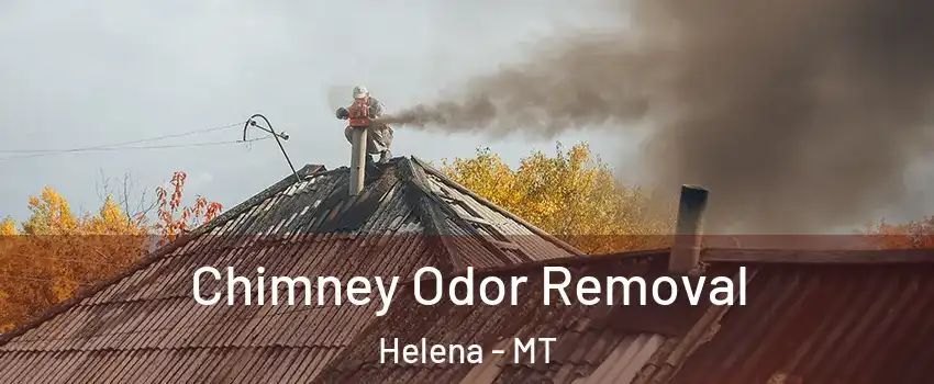  Chimney Odor Removal Helena - MT
