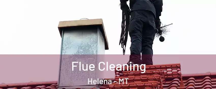  Flue Cleaning Helena - MT