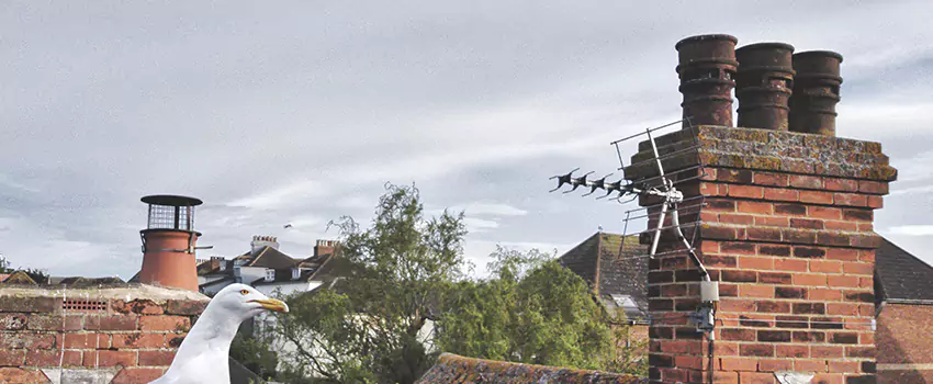 Chimney Cleaning And Restoration in Helena, Montana