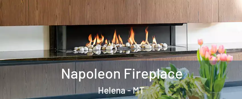 Napoleon Fireplace Helena - MT